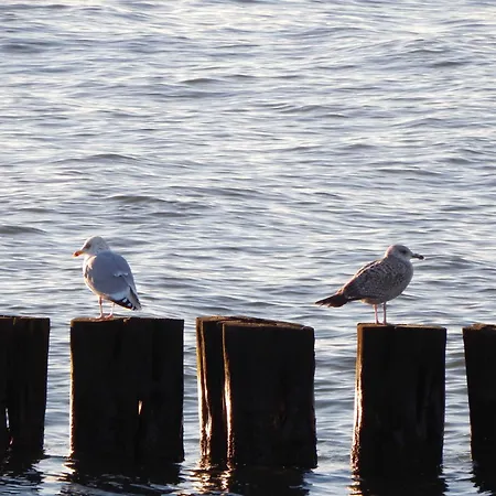 _ Kartenraum _ Objek * Rostock